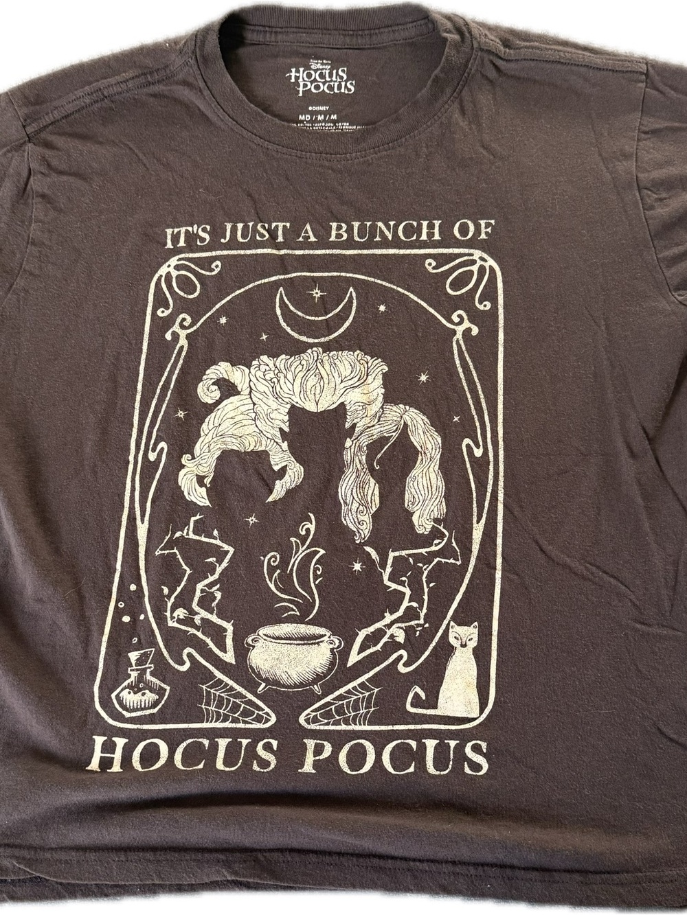 Disney Hocus Pocus Cat Graphic Tee - Black & Cream